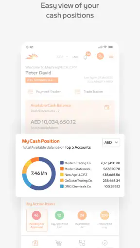 Mashreq NEO CORP screenshot