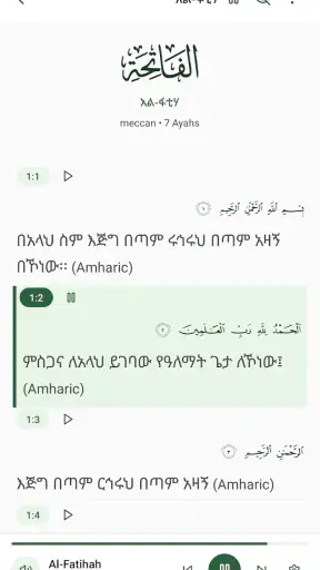 Nur Quran - ኑር ቁርአን screenshot