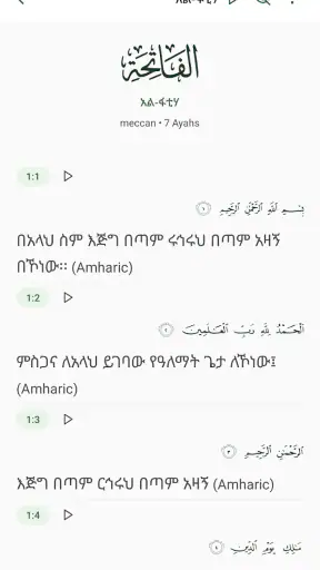 Nur Quran - ኑር ቁርአን screenshot