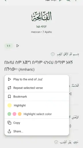 Nur Quran - ኑር ቁርአን screenshot