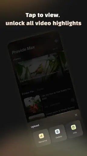 Provide Max-Pure Audio Video screenshot