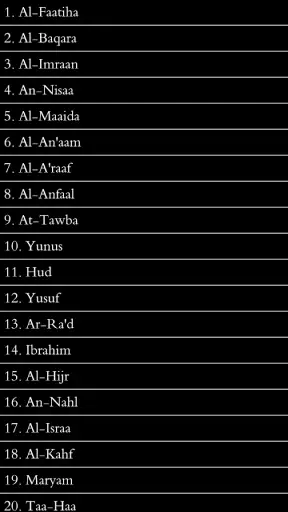 Quran  Amharic screenshot