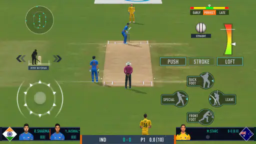 Real Cricket™ screenshot