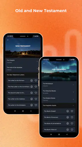 The Audio Bible screenshot