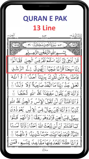 The Holy Quran Kareem - 13 Lin screenshot