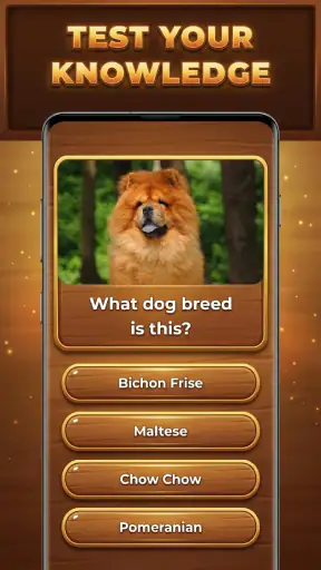 Wood Quiz Blast: Trivia Blocks screenshot