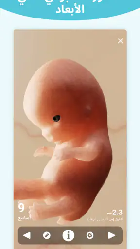 Pregnancy + | Tracker App screenshot