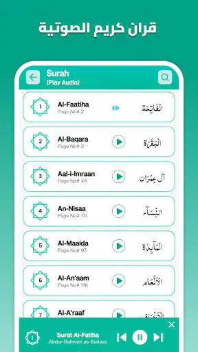 القران الكريم بدون إنترنت screenshot