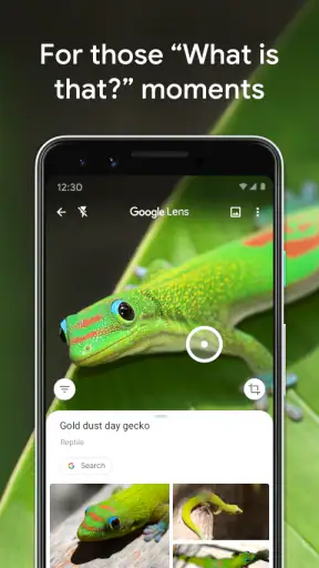 ‏عدسة Google screenshot