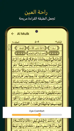 قران كريم -16 سطرا Holy Quran screenshot