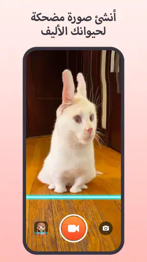 مسح الوقت الاعوجاج مسح الوجه screenshot