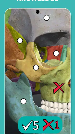 Anatomy Learning - 3D Anatomy screenshot