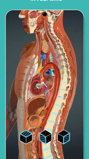Anatomy Learning - 3D Anatomy screenshot