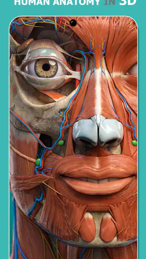 Anatomy Learning - 3D Anatomy screenshot