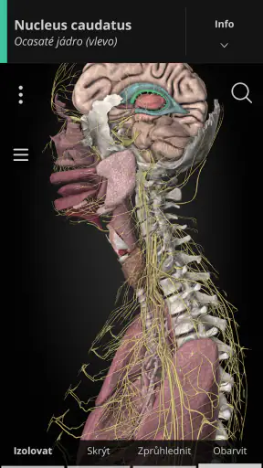 Anatomyka - 3D anatomie screenshot