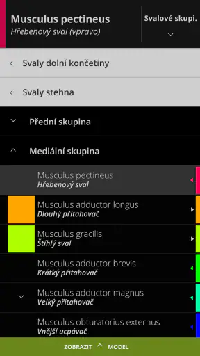 Anatomyka - 3D anatomie screenshot