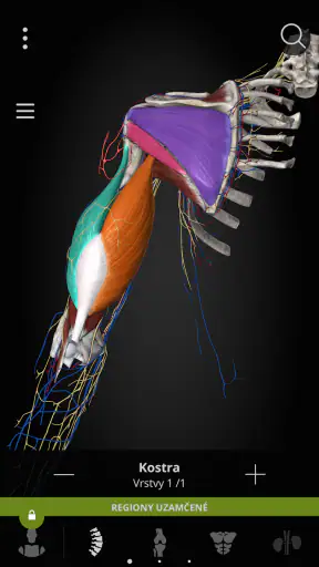Anatomyka - 3D anatomie screenshot