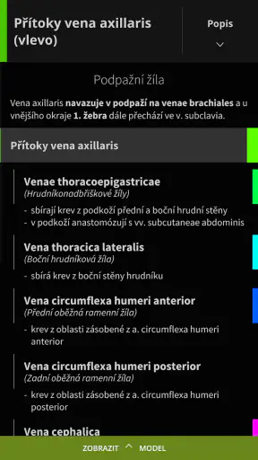 Anatomyka - 3D anatomie screenshot