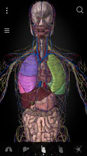 Anatomyka - 3D anatomie screenshot