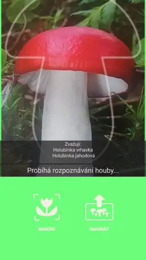 Aplikace na houby screenshot