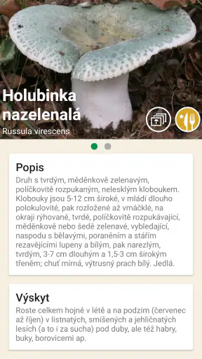 Aplikace na houby screenshot
