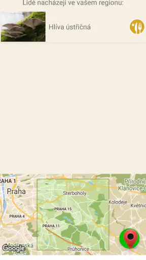 Aplikace na houby screenshot