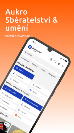 Aukro screenshot