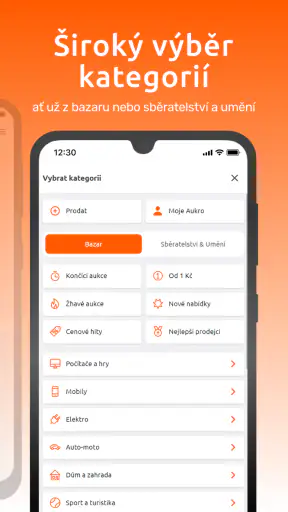Aukro screenshot