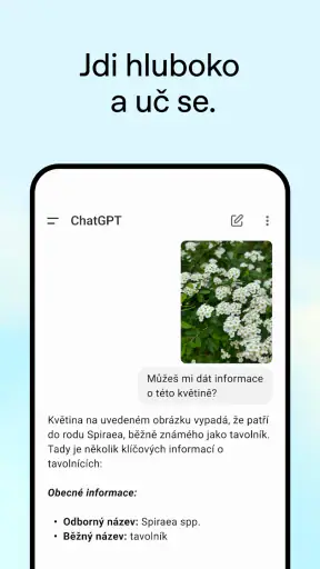 ChatGPT screenshot