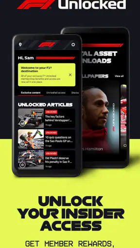 Formula 1® screenshot
