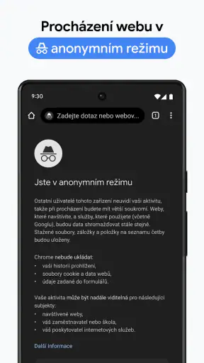 Google Chrome screenshot