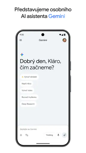 Google Gemini screenshot