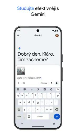 Google Gemini screenshot