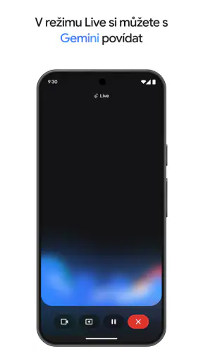 Google Gemini screenshot
