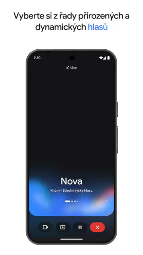 Google Gemini screenshot