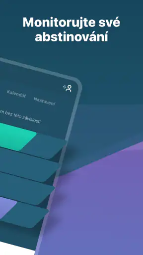 I Am Sober - Jsem střízlivý/á screenshot