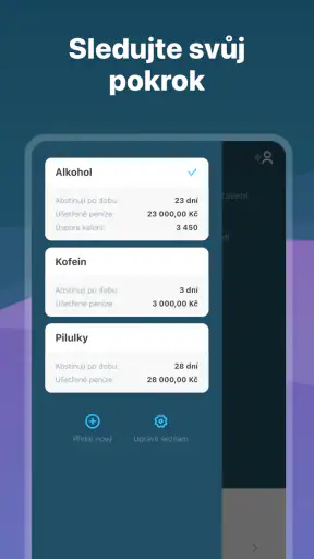 I Am Sober - Jsem střízlivý/á screenshot