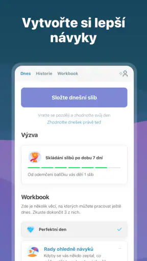 I Am Sober - Jsem střízlivý/á screenshot