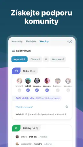 I Am Sober - Jsem střízlivý/á screenshot