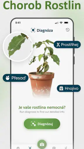 Identifikace Rostlin Česky screenshot