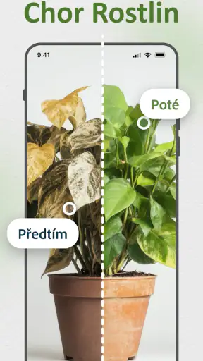 Identifikace Rostlin Česky screenshot