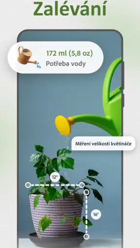 Identifikace Rostlin Česky screenshot