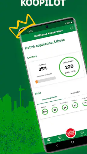 KOOPILOT screenshot