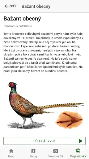 Lesní svět screenshot