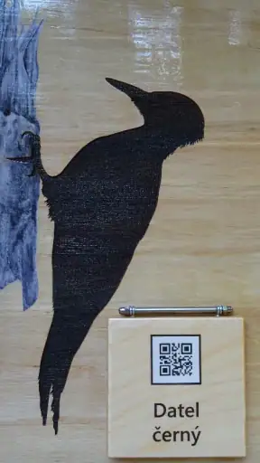 Lesní svět screenshot