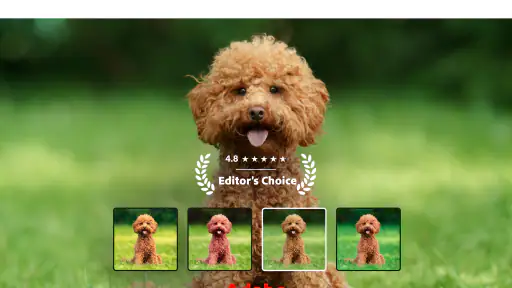 Lightroom Photo & Video Editor screenshot
