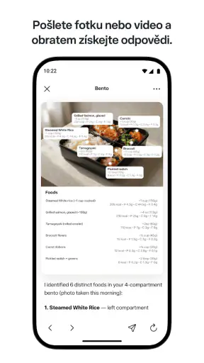 Meta AI screenshot