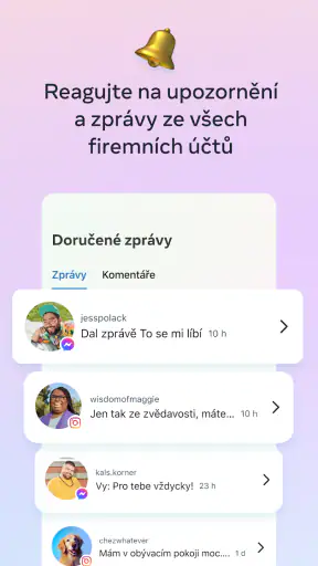 Meta Business Suite screenshot