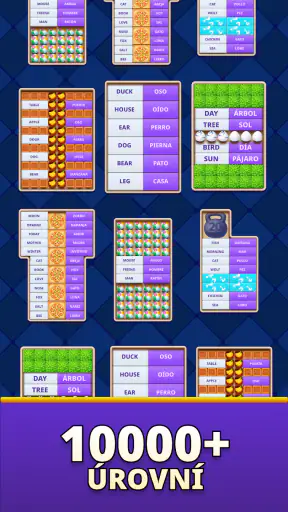 MomoLingo: angličtina a víc screenshot