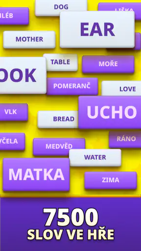 MomoLingo: angličtina a víc screenshot